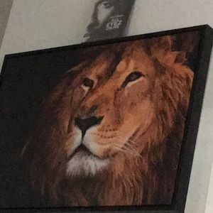 Meet your Posher, Philip